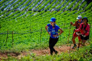 BIB: 
                            <button type="button" onclick="openModal(19164377)" class="btn btn-primary btn-sm float-right btn-popup" data-toggle="modal" data-target=".modal-high-quality">
                        <i class="fas fa-shopping-cart"></i> Add to Cart
                    </button>
                                            <button type="button" onclick="isThisMe(19164377, true)" class="btn btn-success btn-sm float-right btn-popup btn-isme hidden" data-toggle="tooltip" data-placement="bottom" title="นี่คือรูปของคุณใช่ไหม คลิกที่นี่เพื่อเอาเข้าอัลบั้ม">
                        <i class="fas fa-plus"></i> Add to album
                    </button>
                    <button type="button" onclick="isThisMe(19164377, false)" class="btn btn-warning btn-sm float-right btn-popup btn-isnotme hidden">
                        <i class="fas fa-ban"></i> Remove from album
                    </button>